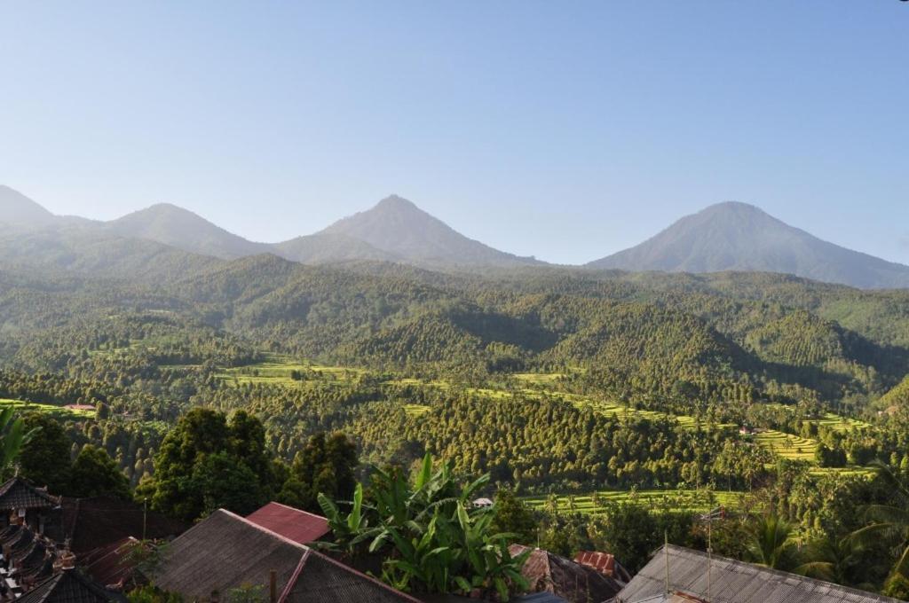 One Homestay And Warung Munduk Kültér fotó
